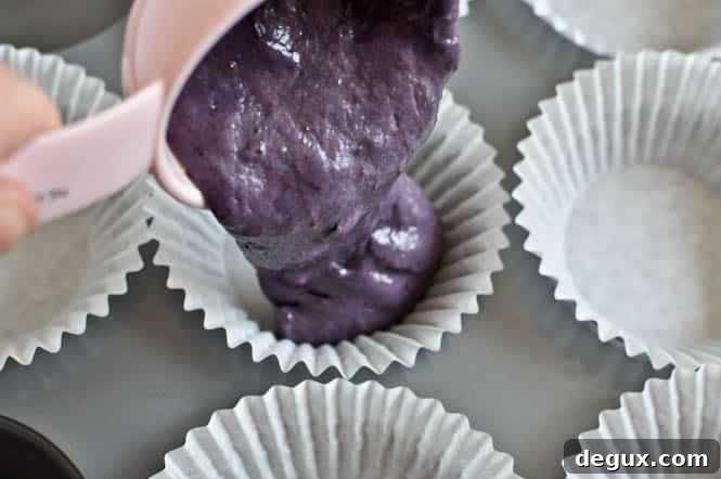 Roasted Blueberry Cupcakes with Chocolate Fudge Frosting Roasted Blueberry Cupcakes with Chocolate Fudge Frosting