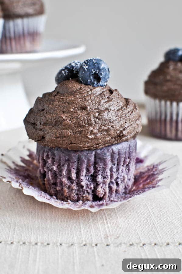 Roasted Blueberry Cupcakes with Chocolate Fudge Frosting Roasted Blueberry Cupcakes with Chocolate Fudge Frosting