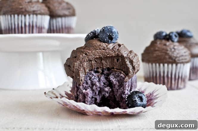 Roasted Blueberry Cupcakes with Chocolate Fudge Frosting Roasted Blueberry Cupcakes with Chocolate Fudge Frosting