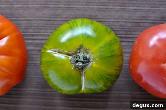 btomatoes-2 img 17880 1