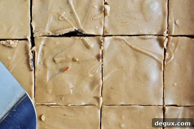 Close-up of brownies