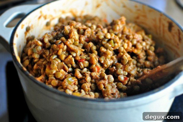 Lentil Sloppy Joes l SimplyScratch.com
