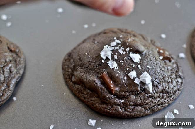 Salted Mudslide Cookies I howsweeteats.com