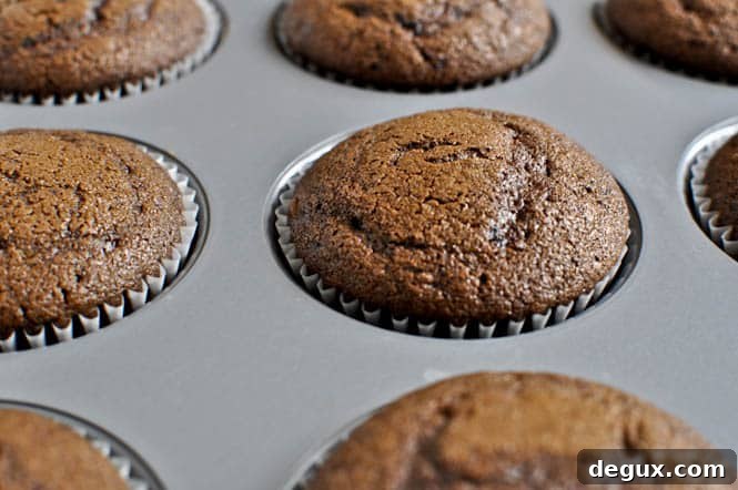 Cupcakes cooling