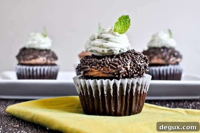 Milk Chocolate Cupcakes with Fresh Mint Frosting Milk Chocolate Cupcakes with Fresh Mint Frosting