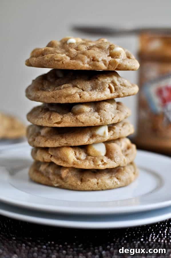 White Chocolate Peanut Butter Oatmeal Cookies White Chocolate Peanut Butter Oatmeal Cookies