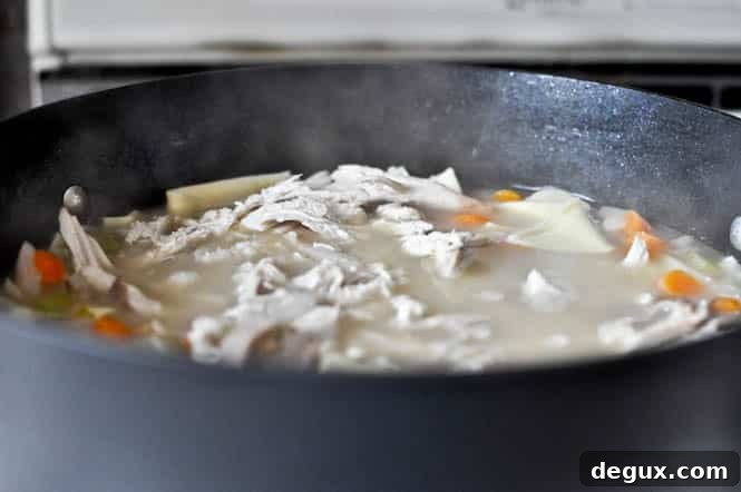 Easy Roasted Chicken Noodle Soup