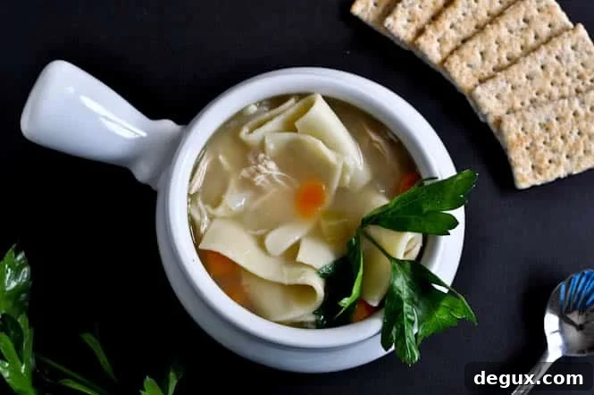 Finished chicken noodle soup