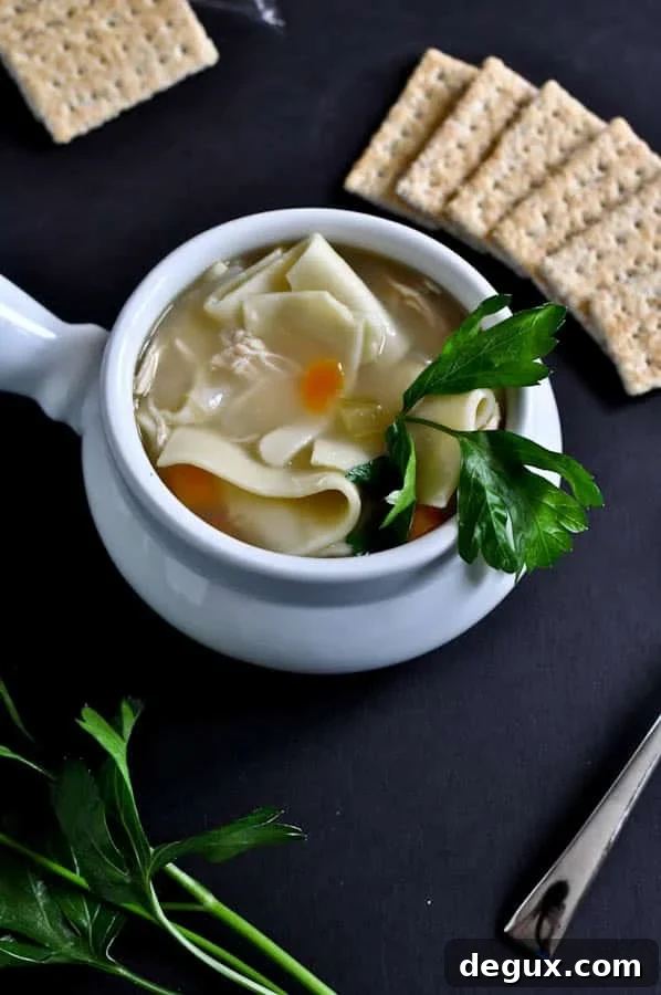 Bowl of chicken noodle soup