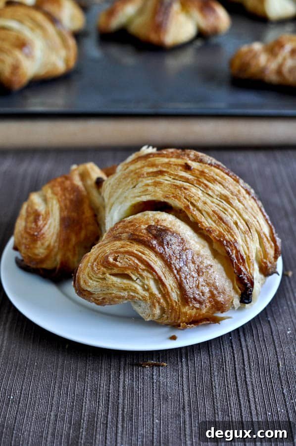 croissant1-7 final croissants