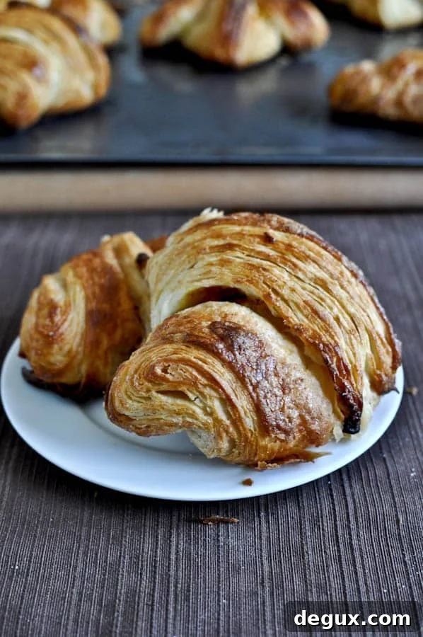 croissant1-7 img 19267 14