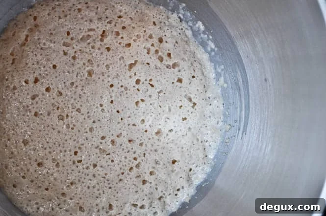 cro2-2 dough and yeast