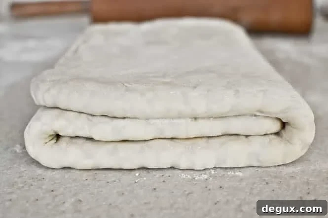 cro2-6 dough after folds