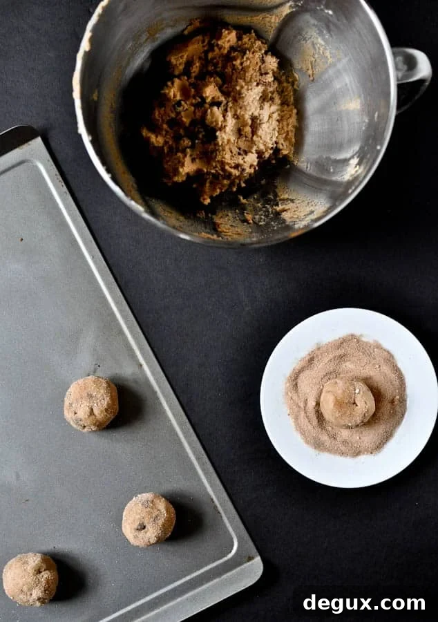 Snicker-Chip-Doodle Cookies