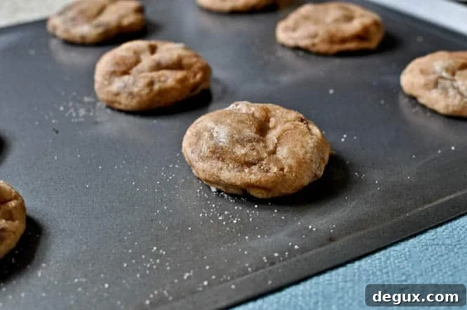 Snicker-Chip-Doodle Cookies