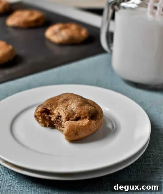 Snicker-Chip-Doodle Cookies