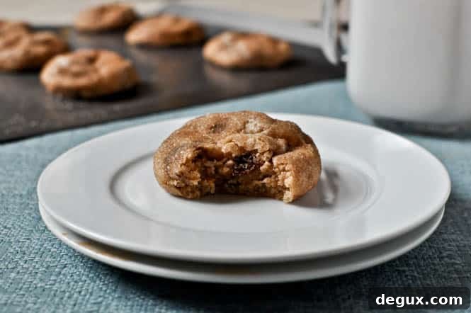 Snicker-Chip-Doodle Cookies