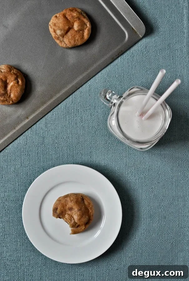 Snicker-Chip-Doodle Cookies