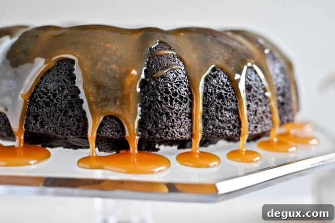 Spiced Double Chocolate Chip Cake slice