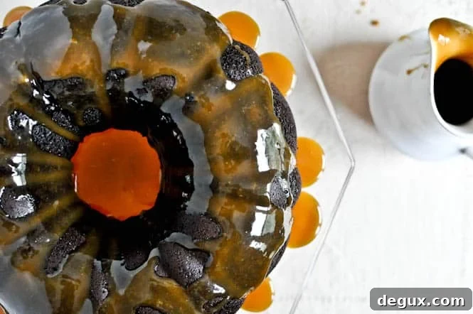 Spiced Double Chocolate Chip Cake close-up