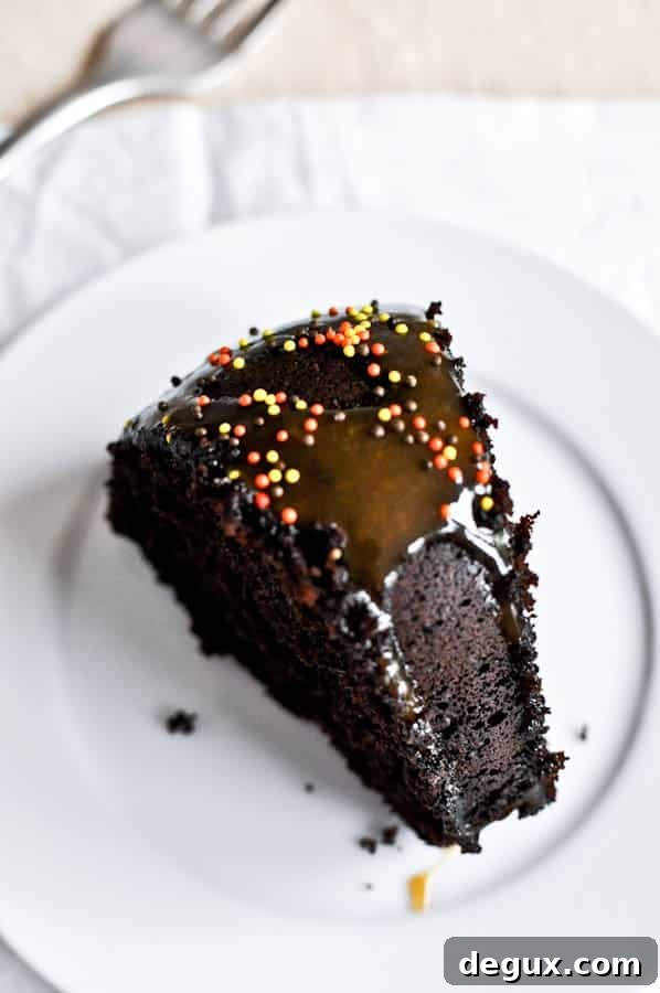 Spiced Double Chocolate Chip Cake slice on plate