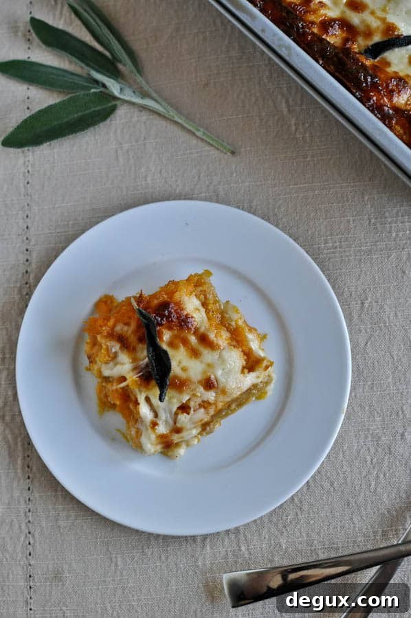 Roasted Butternut and Sweet Potato Whole Wheat Lasagna Roasted Butternut and Sweet Potato Whole Wheat Lasagna