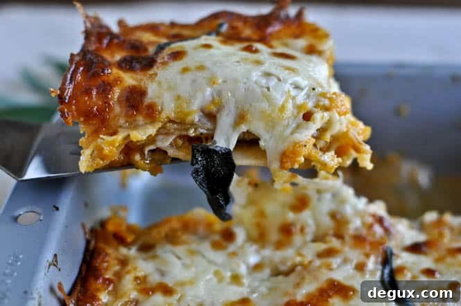 Roasted Butternut and Sweet Potato Whole Wheat Lasagna