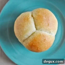 Buttery Cloverleaf Dinner Rolls for Homemade Bread Lovers 2 img 20115 8