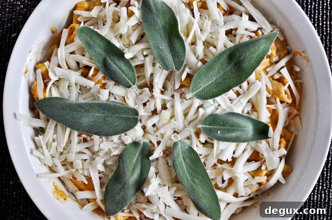 Roasted Butternut Baked Penne