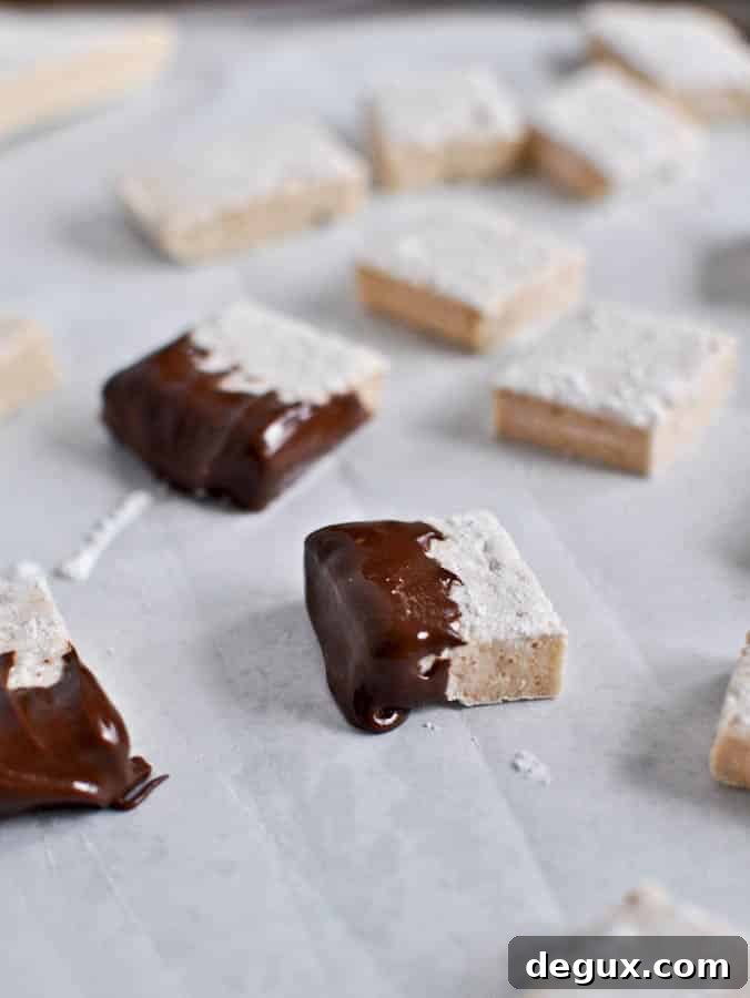 Grown Up Hot Chocolate with Homemade Bailey's Marshmallows
