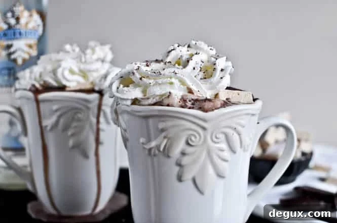 Grown Up Hot Chocolate with Homemade Bailey's Marshmallows
