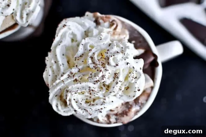 Grown Up Hot Chocolate with Homemade Bailey's Marshmallows