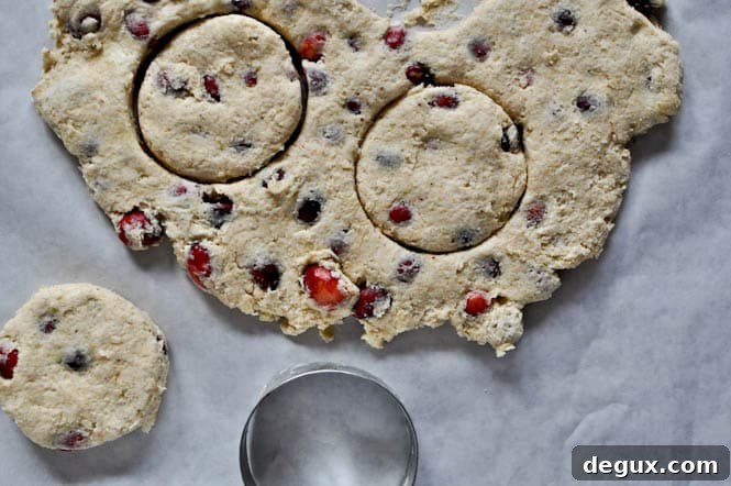 Cranberry Whole Wheat Buttermilk Biscuits