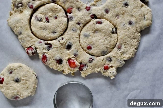 Cranberry Whole Wheat Buttermilk Biscuits Cranberry Whole Wheat Buttermilk Biscuits