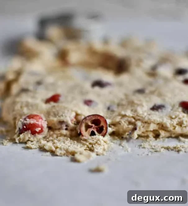 Cranberry Whole Wheat Buttermilk Biscuits Cranberry Whole Wheat Buttermilk Biscuits