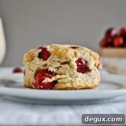 Cranberry Whole-Wheat Buttermilk Biscuits Recipe 2 img 20393 7