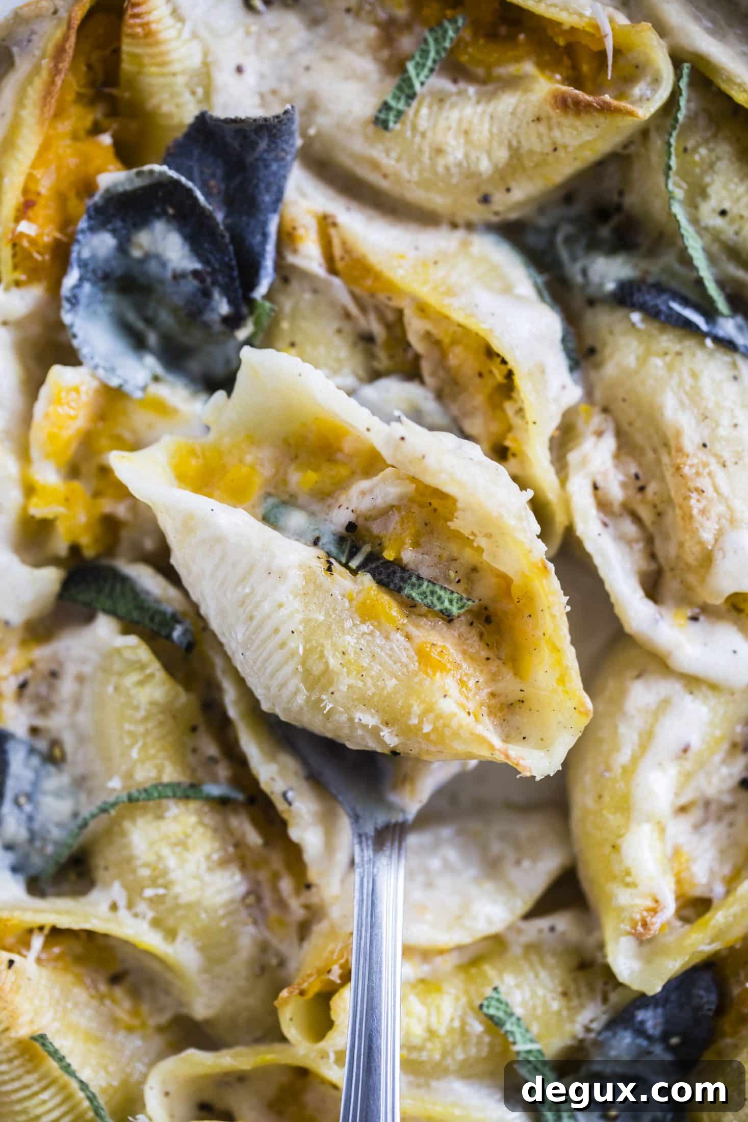 butternut squash stuffed shells and cheese I howsweeteats.com