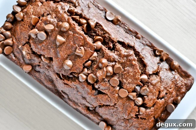 Triple Fudge Banana Bread Triple Fudge Banana Bread