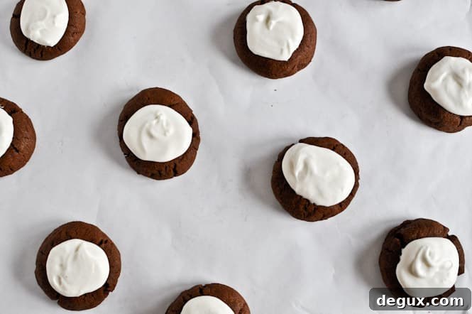 Chocolate Fudge S'mores Thumbprints I howsweeteats.com Chocolate Fudge S'mores Thumbprints I howsweeteats.com