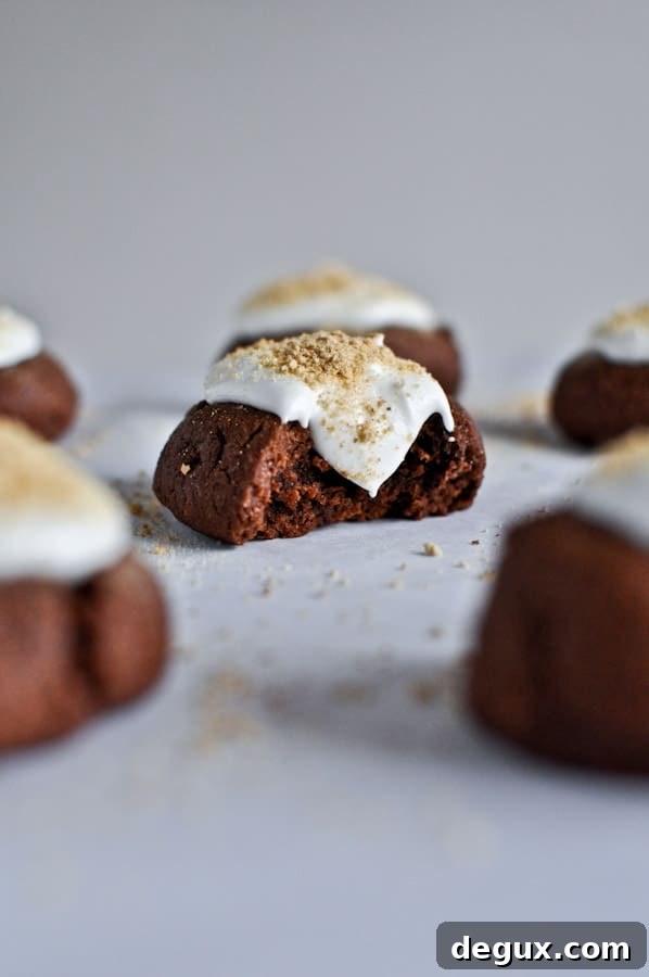 Chocolate Fudge S'mores Thumbprints I howsweeteats.com Chocolate Fudge S'mores Thumbprints I howsweeteats.com