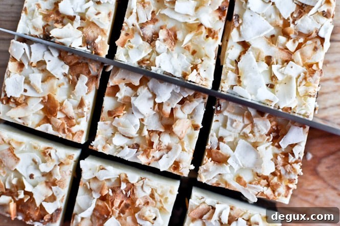 Mocha Coconut Fudge I howsweeteats.com