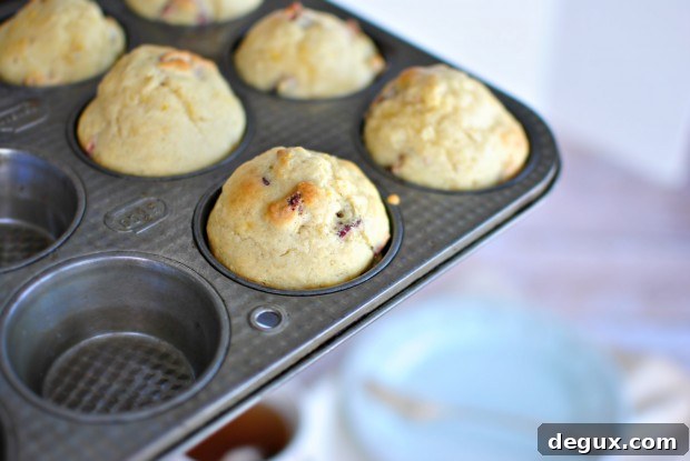baked muffins