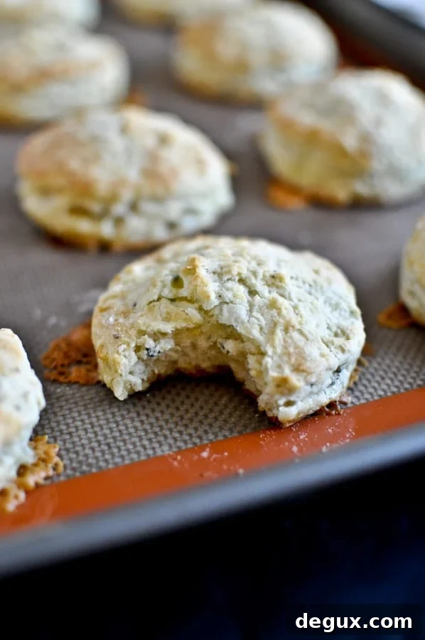 Blue Cheese Biscuits with Pinot Noir Butter