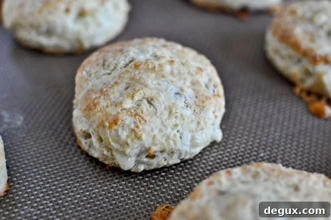 Blue Cheese Biscuits with Pinot Noir Butter