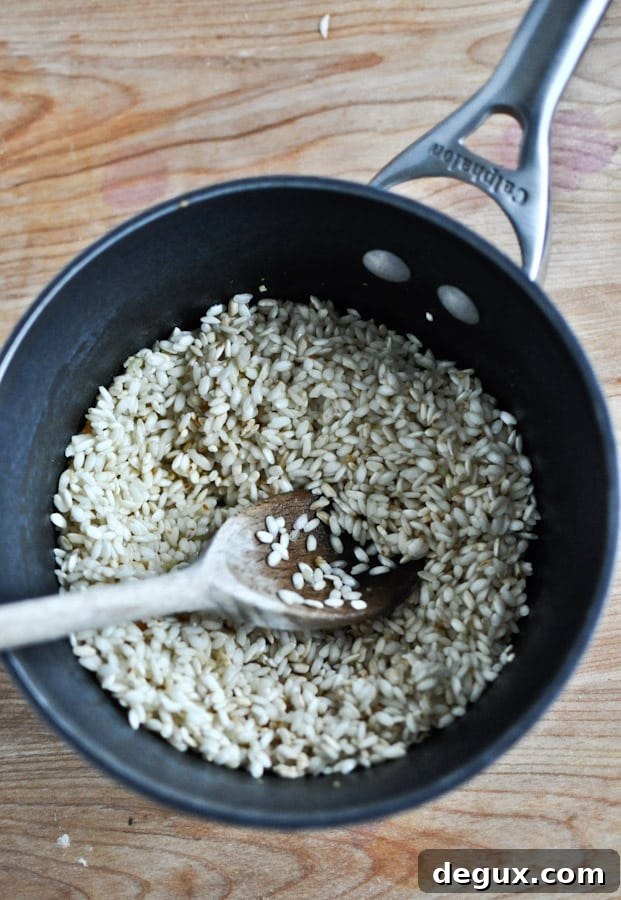 Red Wine + Goat Cheese Risotto with Caramelized Mushrooms