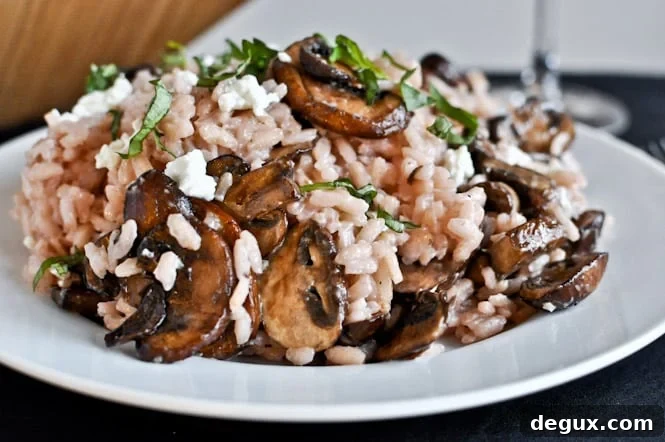 Red Wine + Goat Cheese Risotto with Caramelized Mushrooms