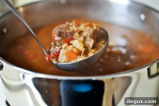Beef and Barley Soup