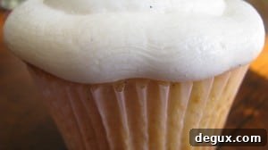 IMG_1913 IMG_1913