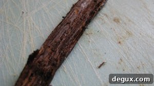 IMG_1886 IMG_1886