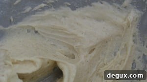 IMG_1906 IMG_1906